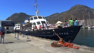 Circe Launches Seal Island Boat Tour in Hout Bay - Calypso