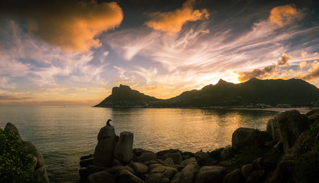 The setting sun lights up the clouds over the gleaming calm water of Hout Bay, South Africa. The leopard watches from the rocks. Enjoy the sunset in Hout Bay on a private boat charter with Circe Launches